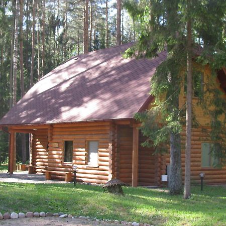 Guest House Gaujaspriedes Gauja  Exteriör bild