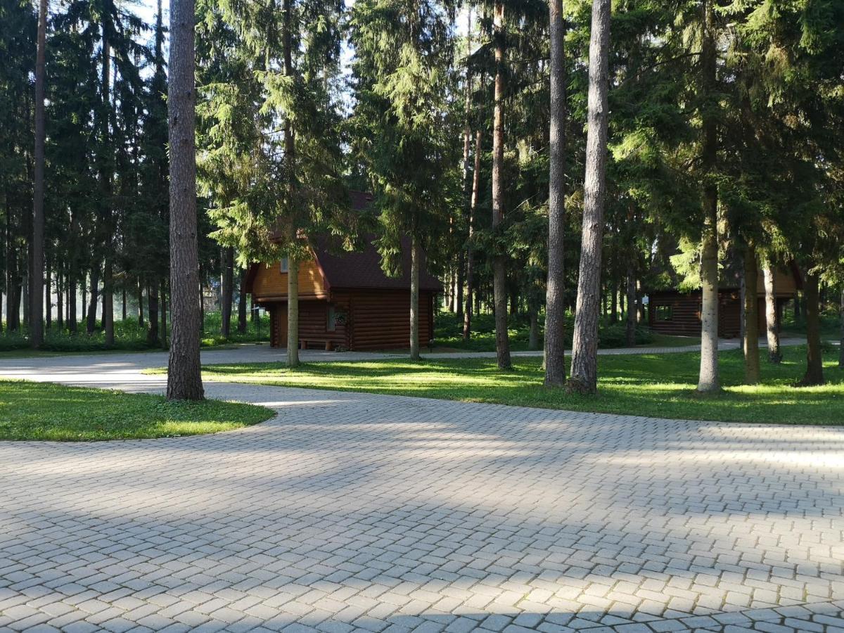 Guest House Gaujaspriedes Gauja  Exteriör bild